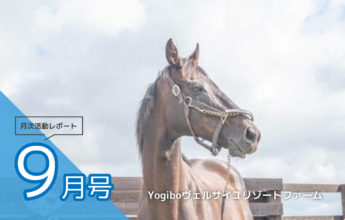 Yogibo✕ヴェルサイユファーム✕尾花氏オリジナルデザイン Yogibo 